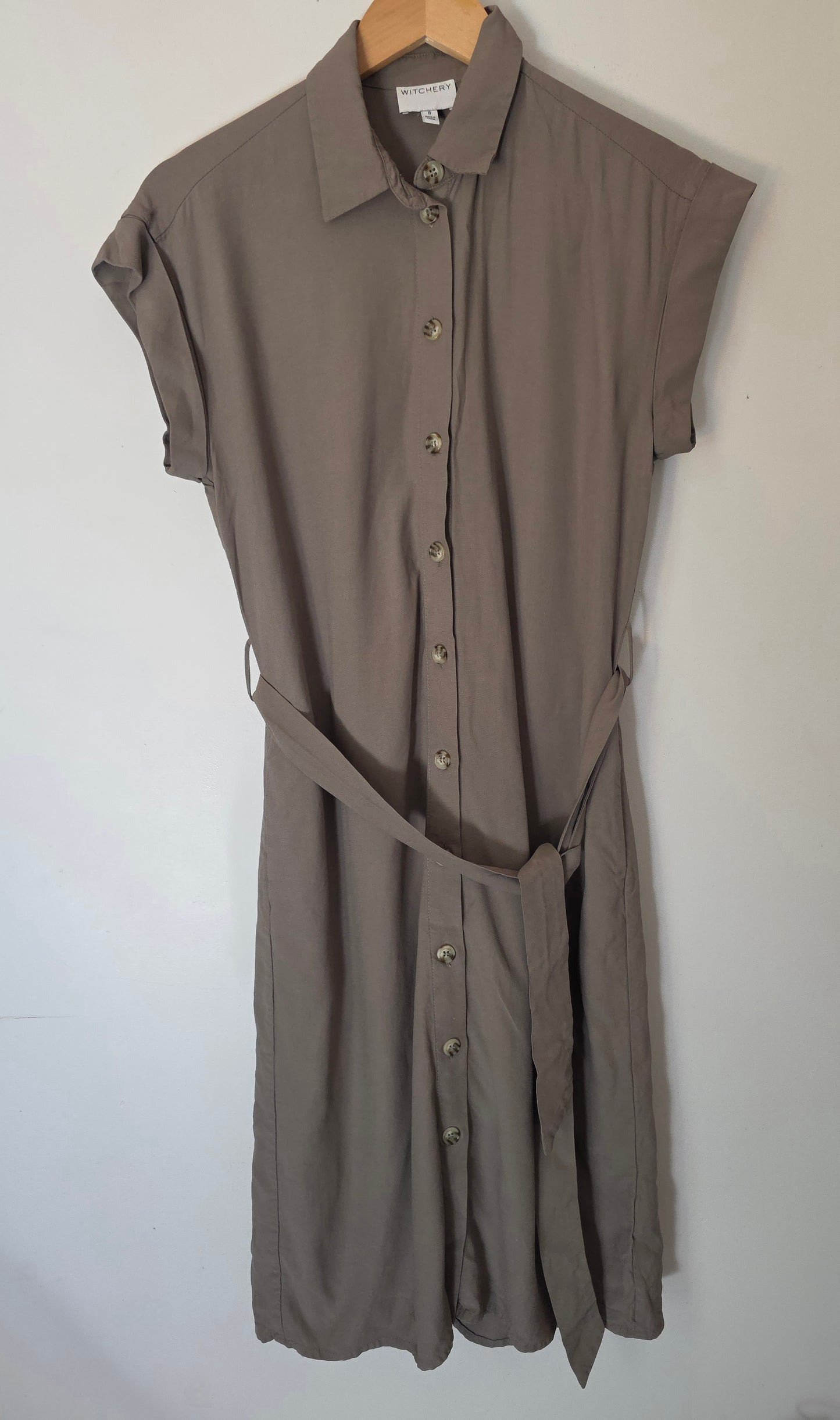 Witchery Dress (8)