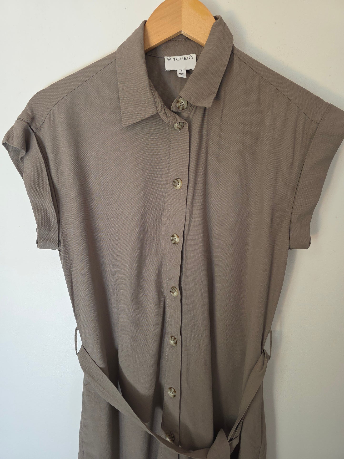 Witchery Dress (8)